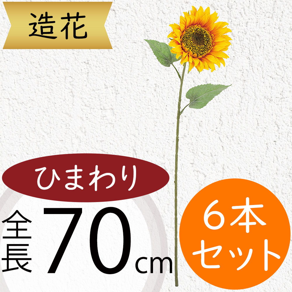 ひまわり★SERIOUS めめふかいわ 25-14-2-1_0.jpg