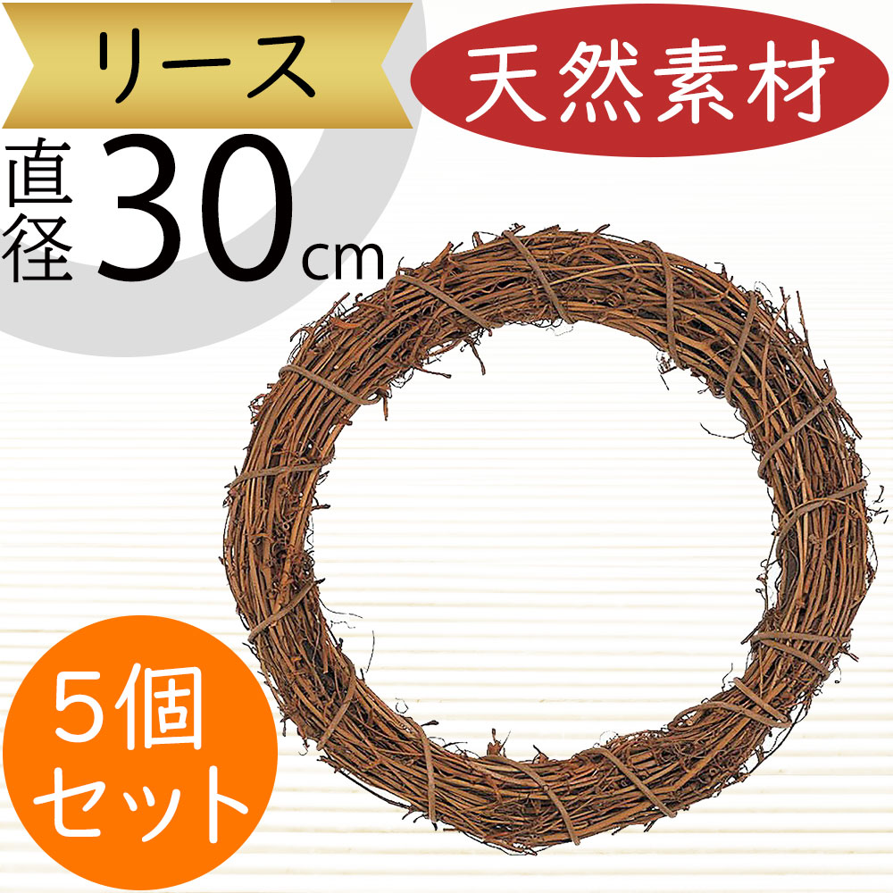 リース 天然素材 ひげづる 人気 壁面装飾 壁掛け用 壁面用 フラワーベース 花器 土台 ベース 資材 自然素材 花材 フラワーアレンジメント 装飾 輪形 輪型 リング ドーナツ型 ドーナツ形 おしゃれ インテリア イベント クリスマス ウエディング ナチュラル 30cm 5個セット