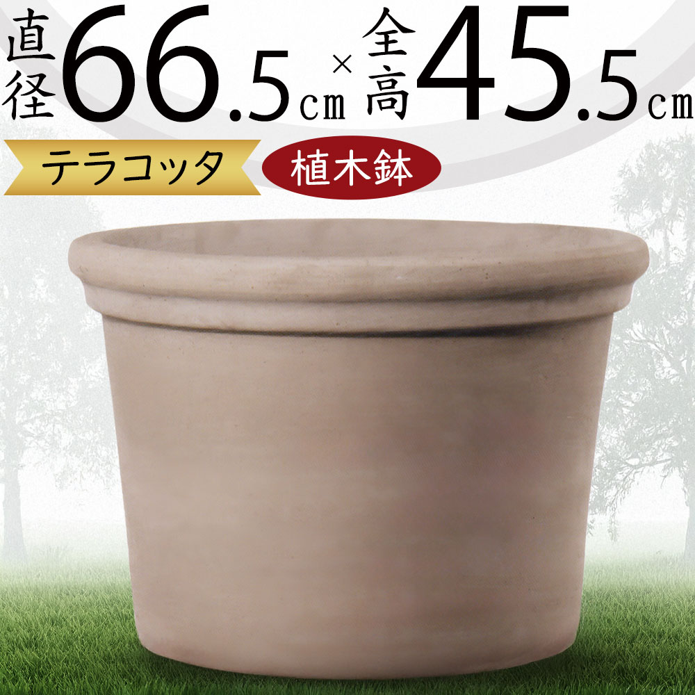 クーポン券