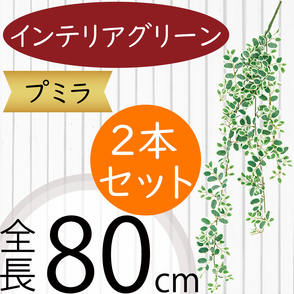 フェイクグリーン プミラ おしゃれ 人気 インテリアグリーン リアル 人工観葉植物 造花 人工樹木 アートプランツ アートグリーン 観葉植物 インドアグリーン インテリア 雑貨 家具 オブジェ 花材 葉物 フラワーアレンジメント ディスプレイ 装飾 お洒落 全長80cm 2本セット