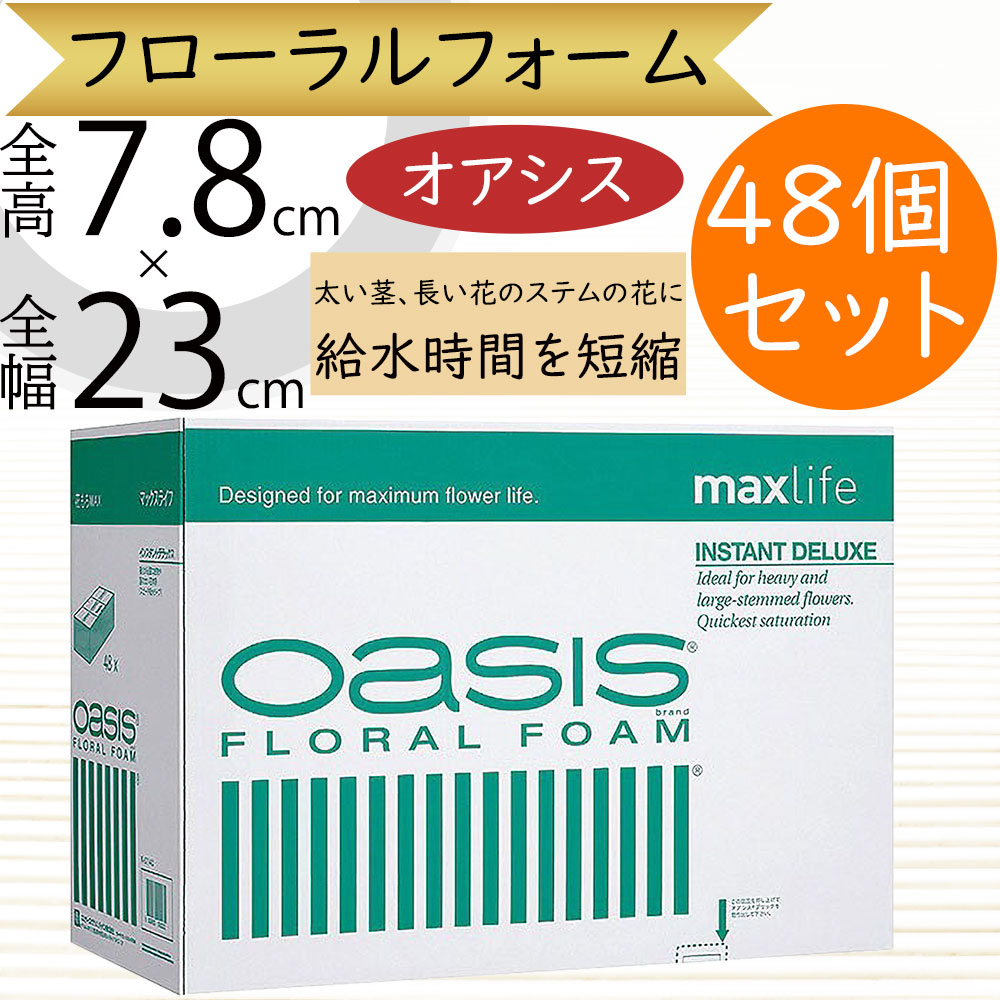 楽天市場】オアシス スポンジ 吸水 給水 人気 おすすめ 生花用