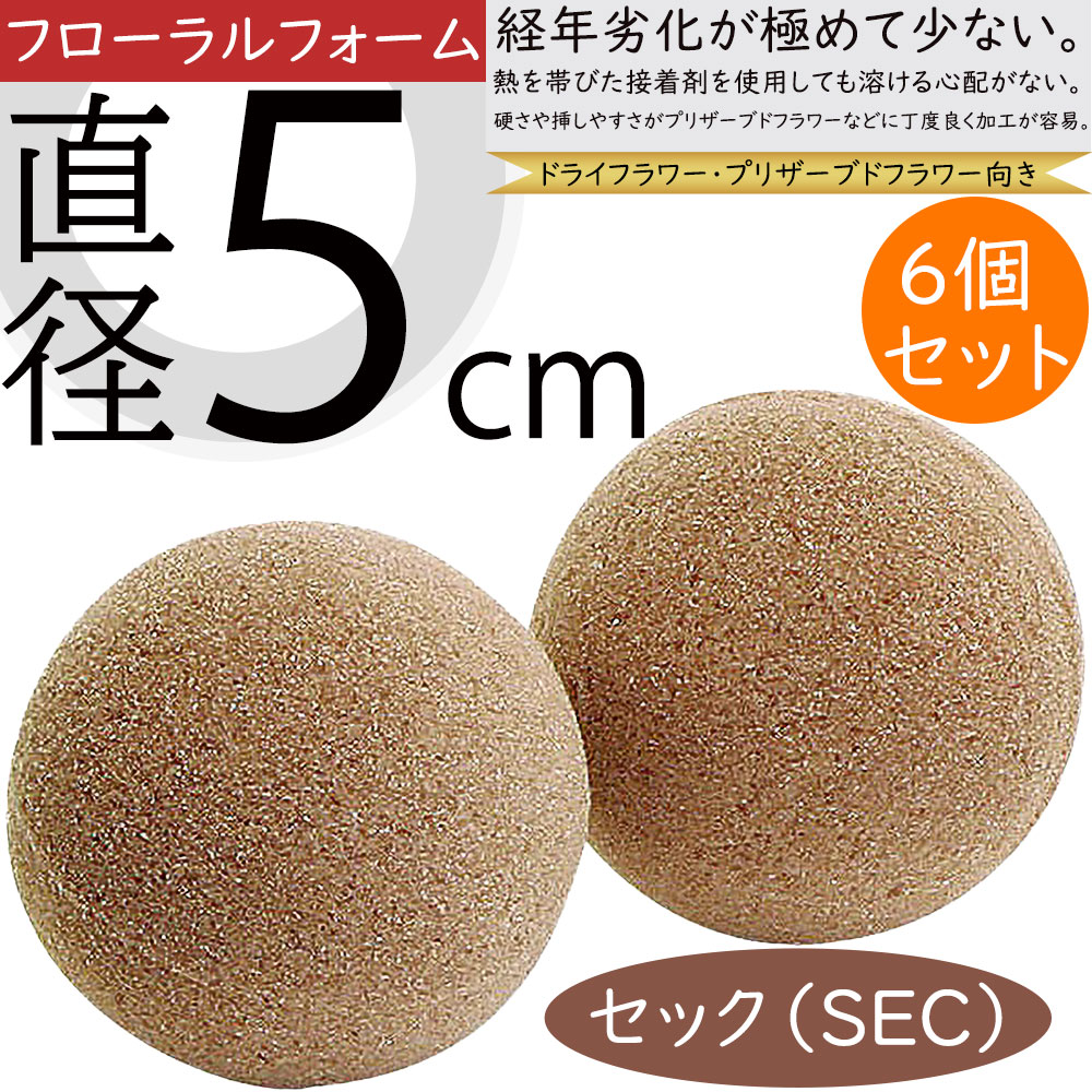 楽天市場】オアシス セックブリック G スポンジ 人気 おすすめ