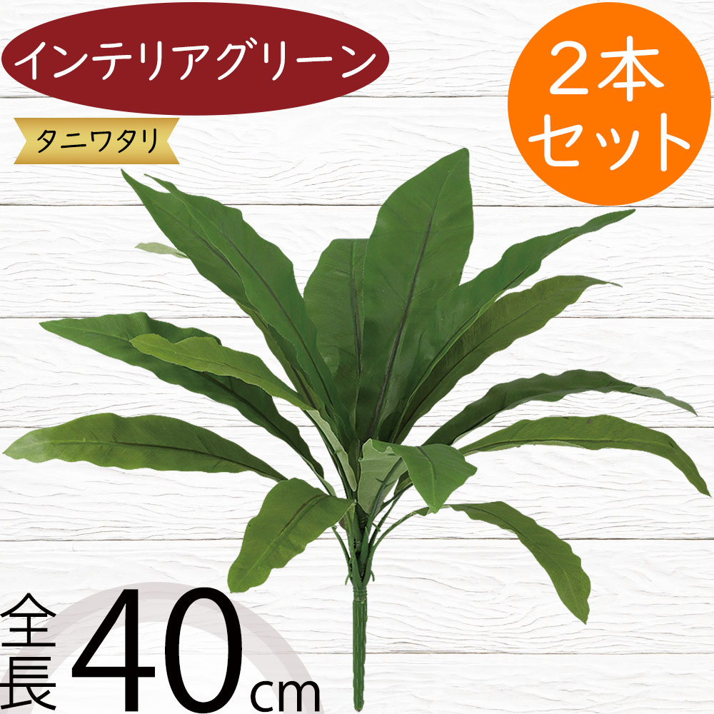 フェイクグリーン タニワタリ おしゃれ インテリアグリーン リアル 人工観葉植物 観葉植物 造花 人工樹木 アーティフィシャルフラワー 花材 葉 フラワーアレンジメント ディスプレイ 装飾 お洒落 トロピカル 南国ムード リゾート気分 エメラルドウエーブ 全長40cm 2本セット