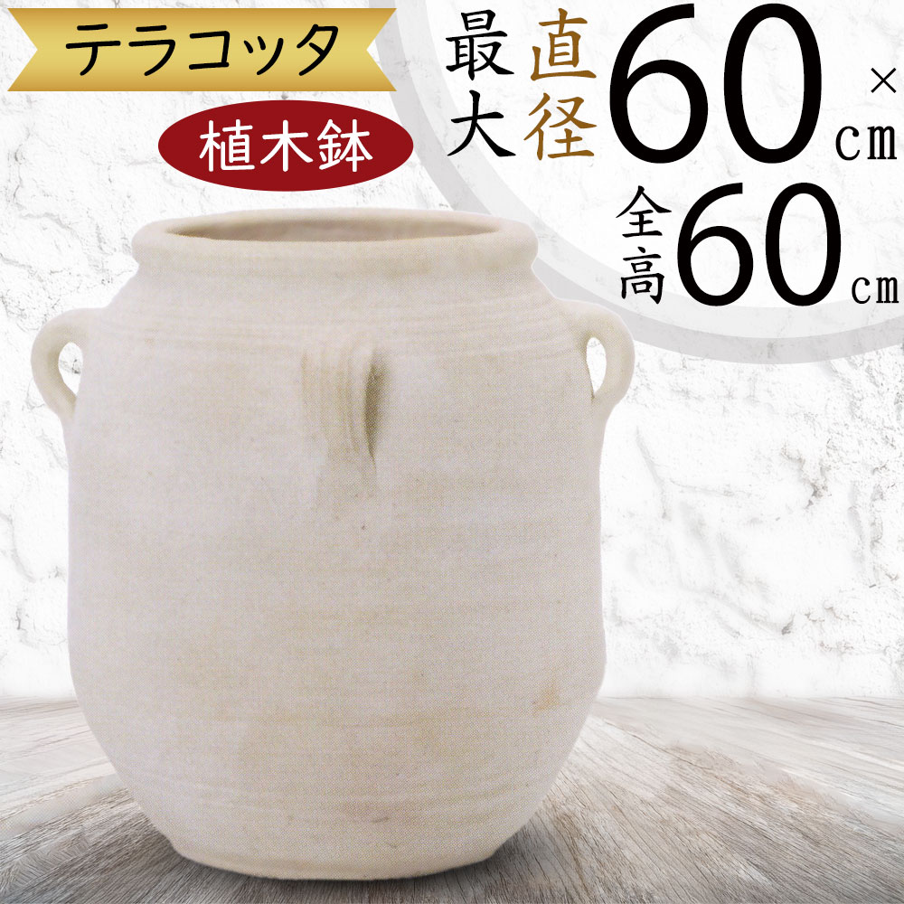 クーポン券
