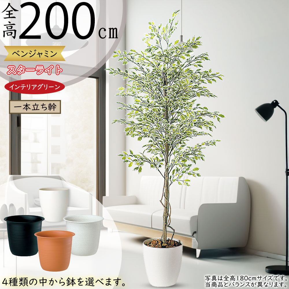 光触媒　人工観葉植物　フェイクグリーン　ベンジャミナスターライトコアッド 楽天市場】ベンジャミン スターライト 110cm (人工観葉植物 造花