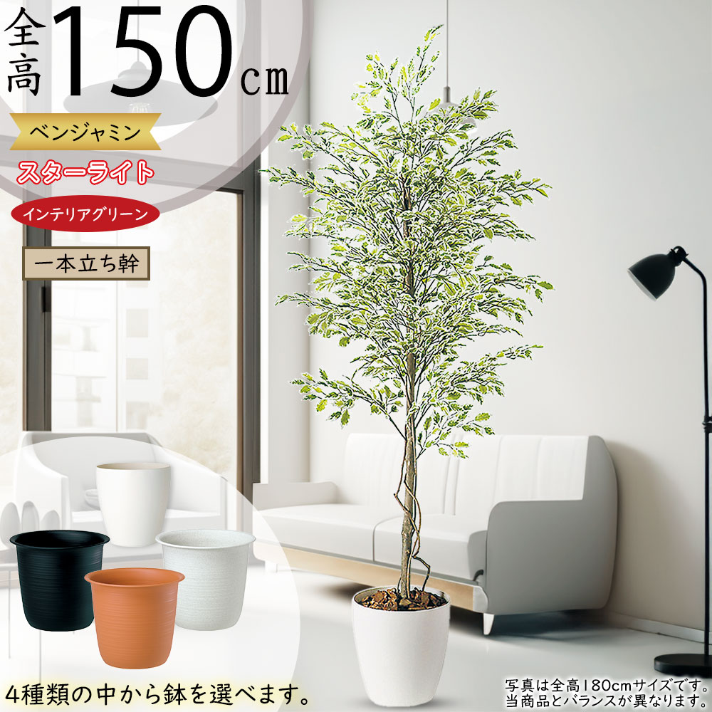楽天市場】ベンジャミン スターライト 110cm (人工観葉植物 造花