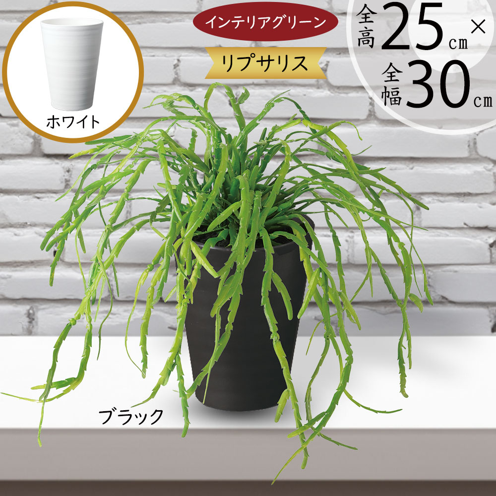 フェイクグリーン 多肉植物 おしゃれ 人気 リアル おすすめ リプサリス サボテン 小型 小さい 小さめ インテリアグリーン 人工観葉植物 人工樹木 造花 アートグリーン 観葉植物 緑 インテリア ギフト 贈り物 オブジェ 卓上 棚 シェルフ 窓際 窓辺 鉢付き 高品質 全高25cm
