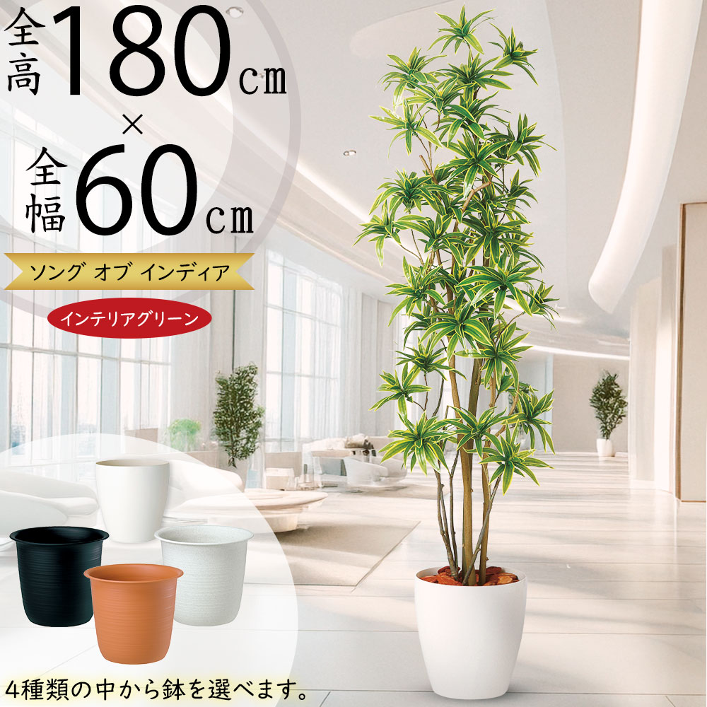 光触媒　人工観葉植物　ウォールグリーン　フェイクグリーン　東北コンシンネ180 人工観葉植物 ウォールグリーン フェイクグリーン ドラセナ