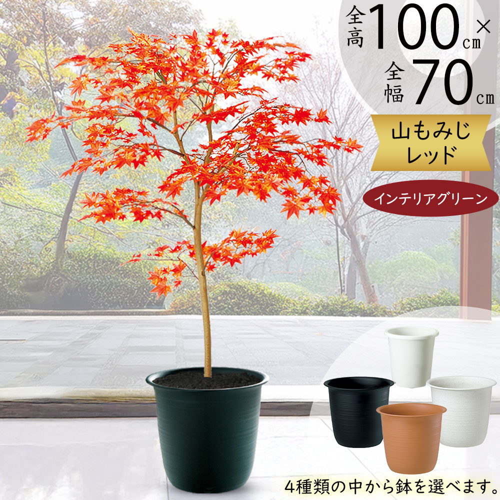 もみじフェイク 中30本大5本　まとめ売り 大量 造花 紅葉 1407-1781.jpg
