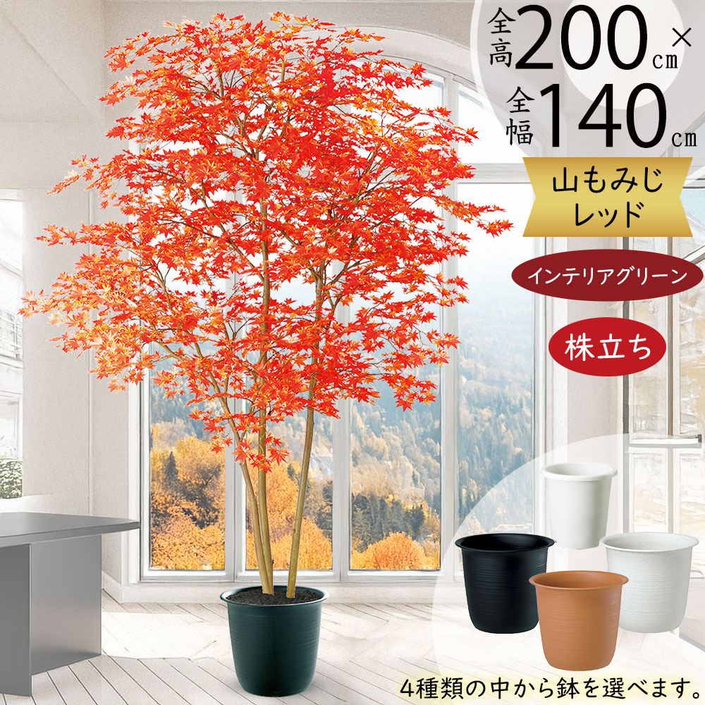 楽天市場】モミジ もみじ フェイクグリーン 大型 おしゃれ 人気 リアル
