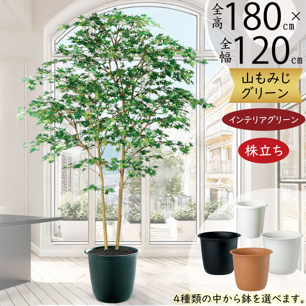 ぴろ フェイクグリーンウェルカムボード＆ミモザ 造花 花束 通販 花 ミモザ アーティフィシャルフラワー アーティ
