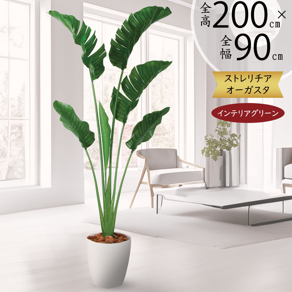 ストレリチア ストレチア フェイクグリーン 大型 おしゃれ 人気 おすすめ リアル インテリアグリーン 人工観葉植物 造花 人工樹木 観葉植物 アートグリーン インテリア オブジェ お洒落 新築祝い 開店祝い ギフト 特大 本物そっくり オーガスタ トラベラーズパーム 全高200cm