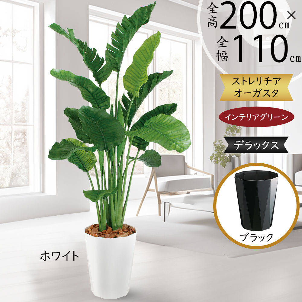 引き換え証