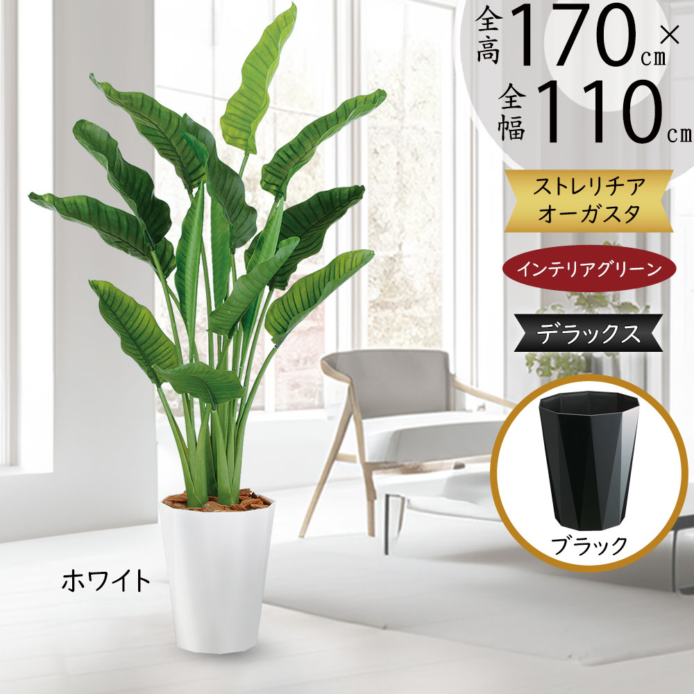 楽天市場】ストレリチア ストレチア フェイクグリーン おしゃれ
