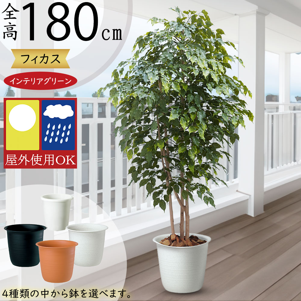 コロンと可愛い植木鉢　フェイクグリーン　トレンドインテリア キシマ フェイクグリーン 多肉植物 コーデックス 鉢 おしゃれ