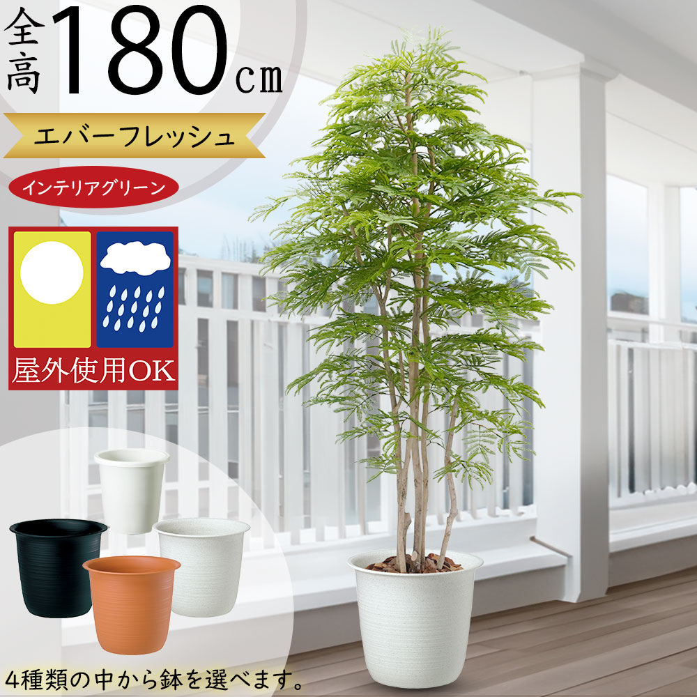 楽天市場】フェイクグリーン 屋外用 屋外対応 おしゃれ ネムノキ