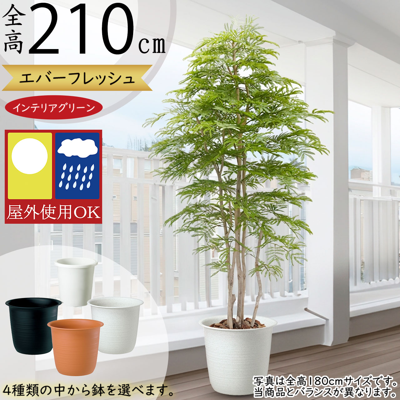 フェイクグリーン 屋外用 屋外対応 おしゃれ ネムノキ エバーフレッシュ 人気 リアル インテリアグリーン 観葉植物 人工観葉植物 人工樹木 造花 アートグリーン お洒落 インテリア お庭 バルコニー ファサード ベランダ テラス 屋上 大型 大きい 大きめ ねむの木 全高210cm｜グリーンランド 53,680円