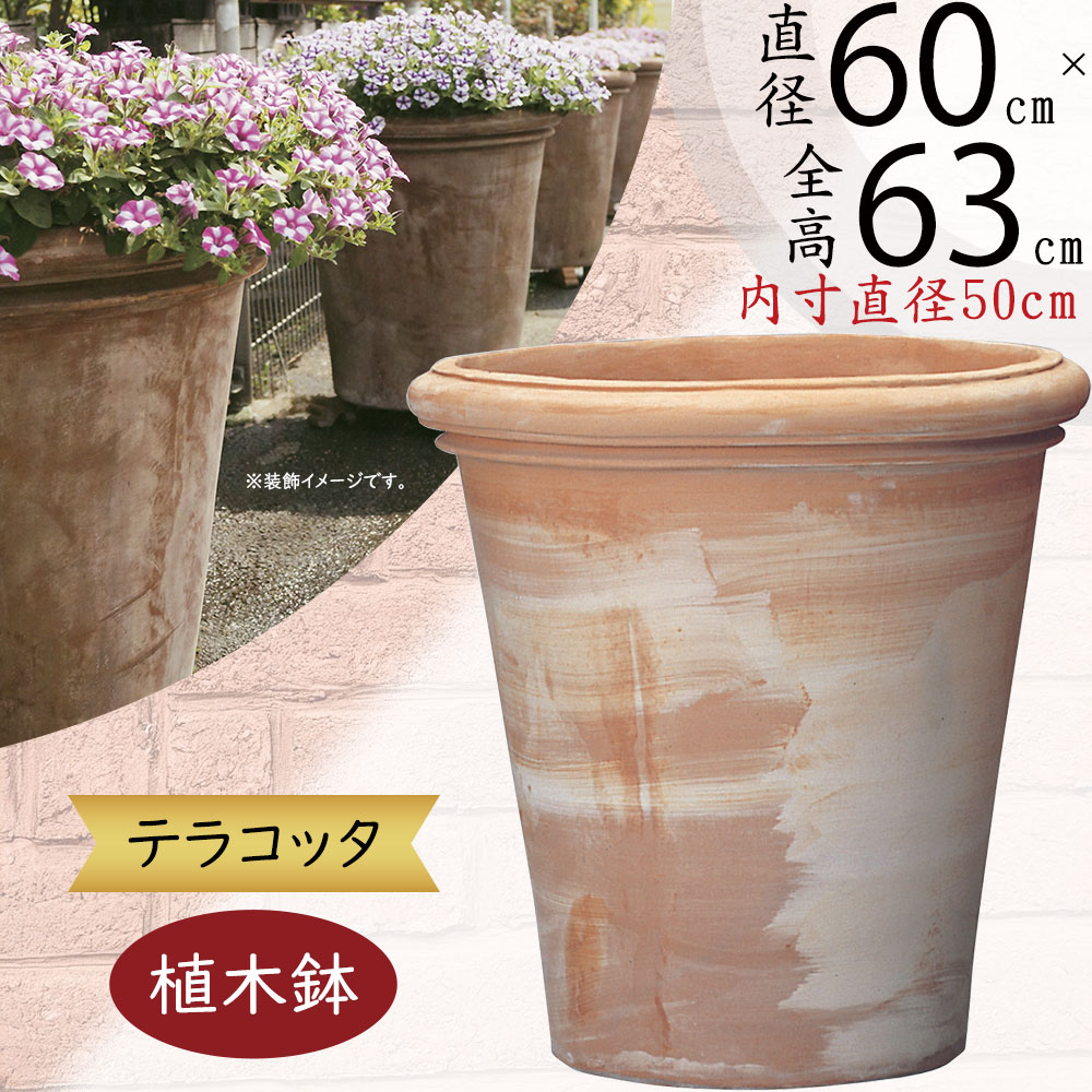 クーポン券