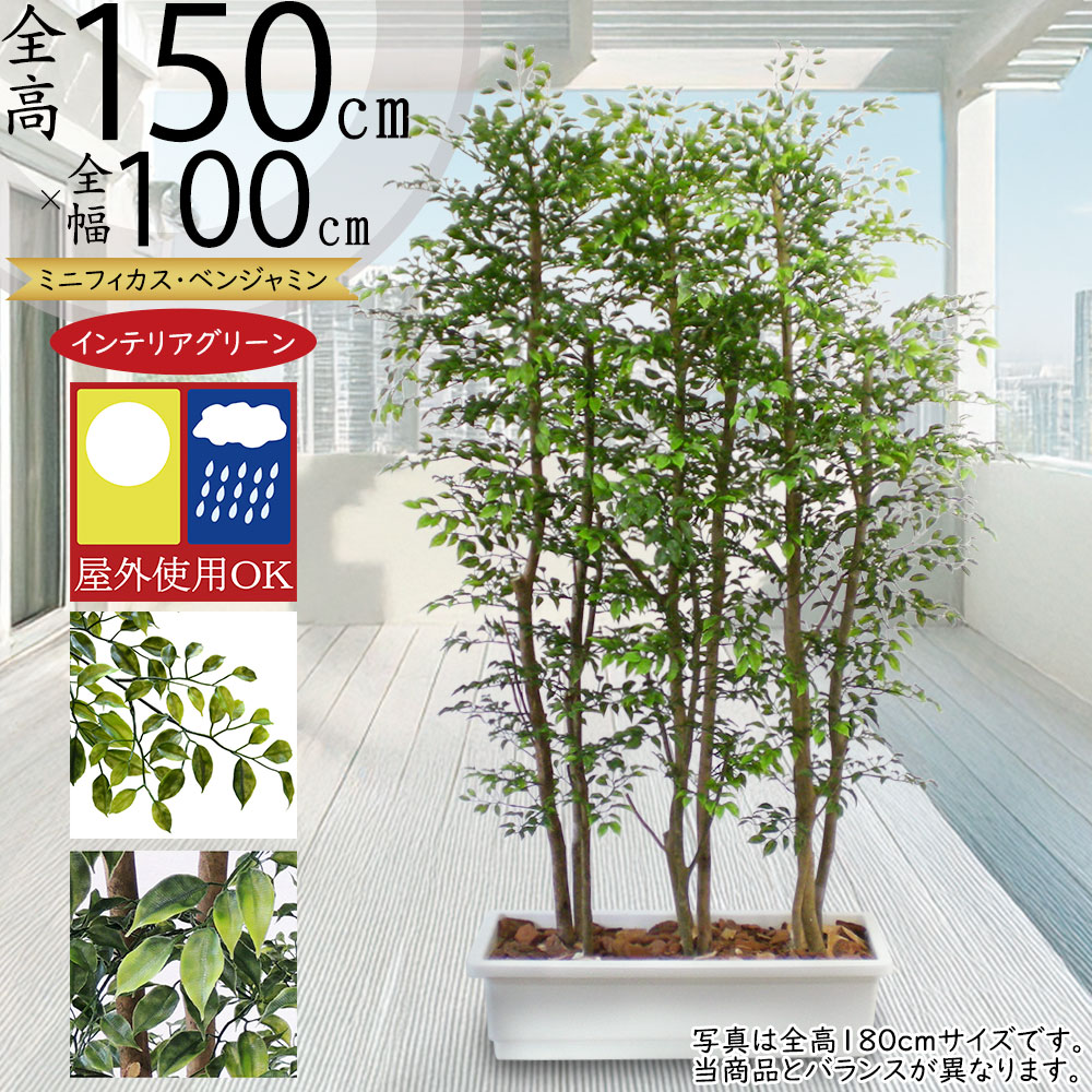 光触媒 人工観葉植物 ウォールグリーン フィッカスパーテーション150