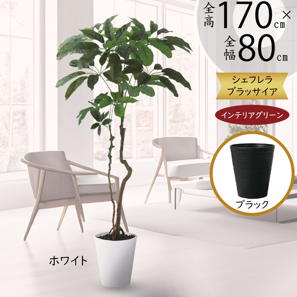 光触媒　人工観葉植物　フェイクグリーン　アカシアディアル150FST ストア・エキスプレス フェイクグリーン 消臭 観葉植物 フェイク