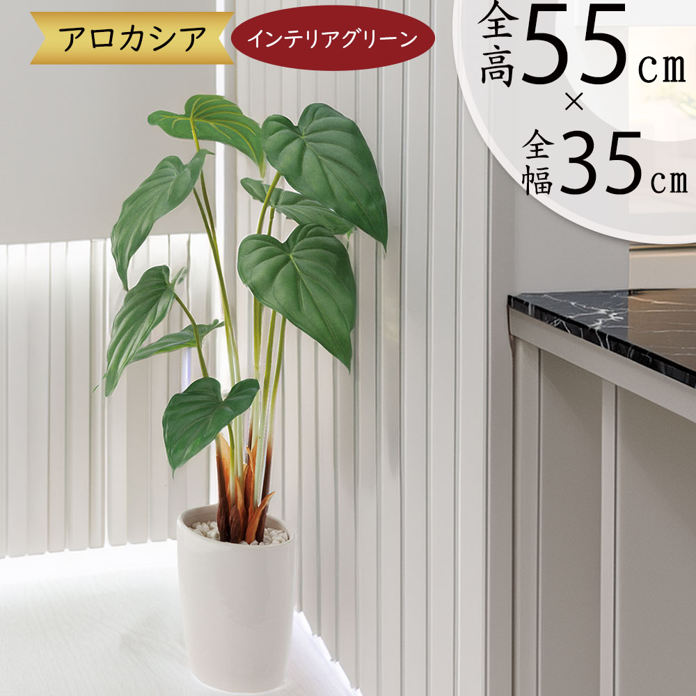 楽天市場】クワズイモ フェイクグリーン 人気 おしゃれ