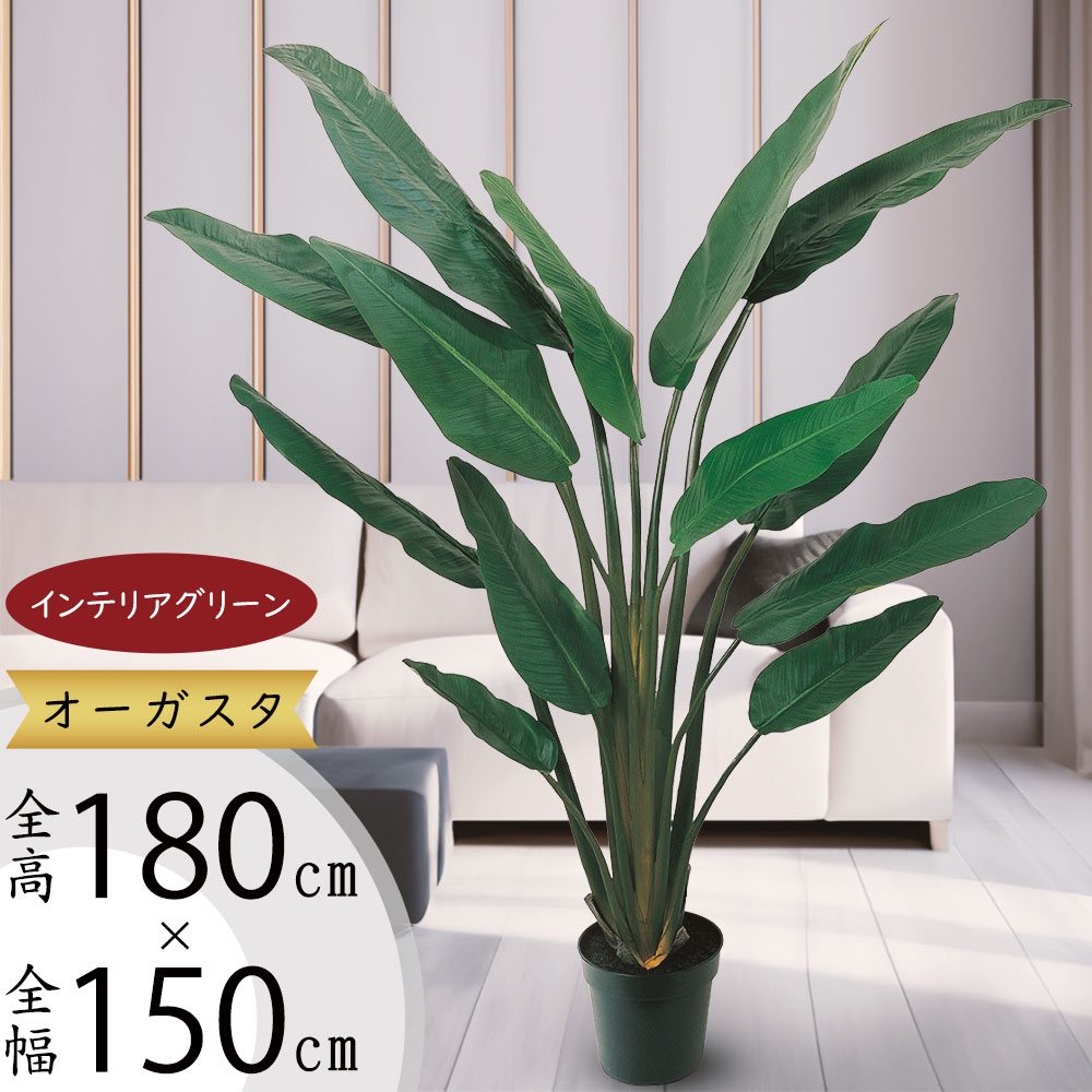 クーポン券