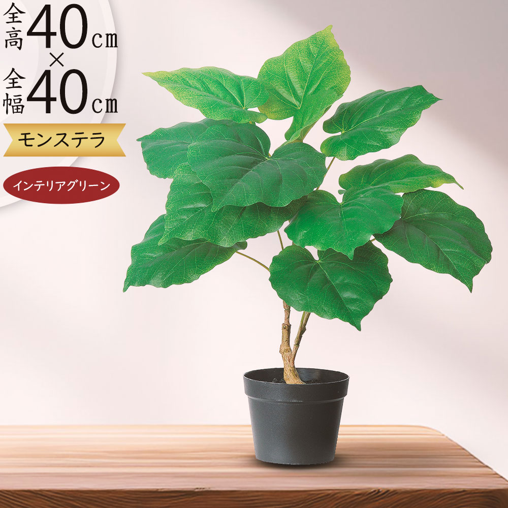 楽天市場】ウンベラータ フェイクグリーン おしゃれ 観葉植物 リアル