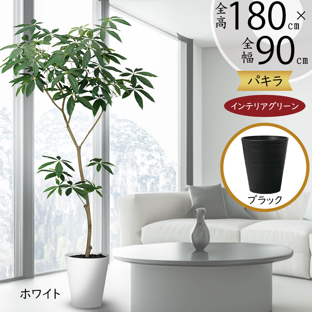 楽天市場】フェイクグリーン 大型 観葉植物 パキラ