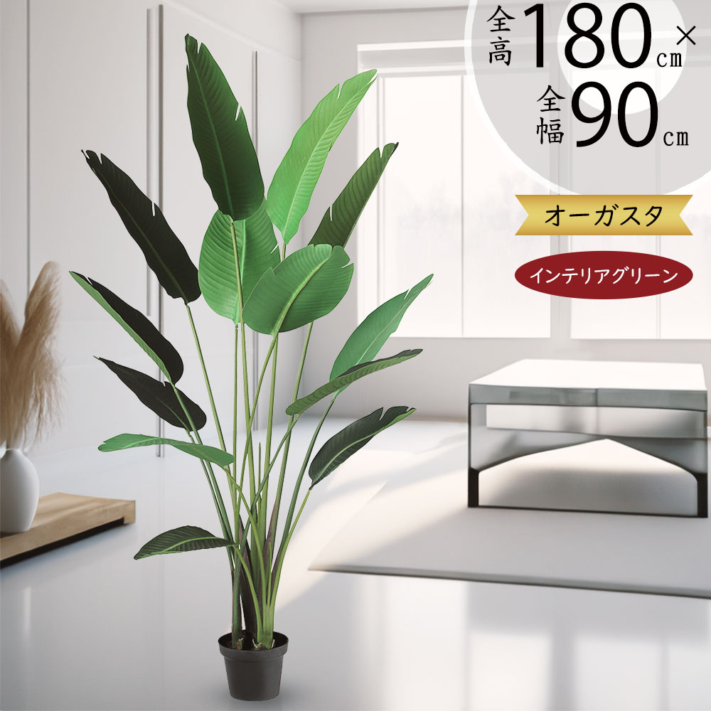 楽天市場】ストレリチア ストレチア フェイクグリーン 大型