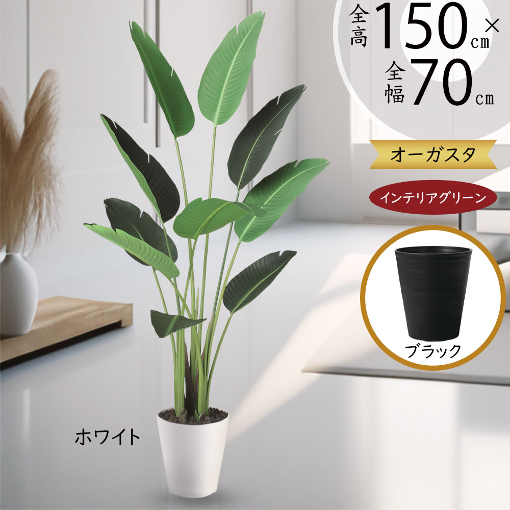楽天市場】ストレリチア ストレチア フェイクグリーン おしゃれ