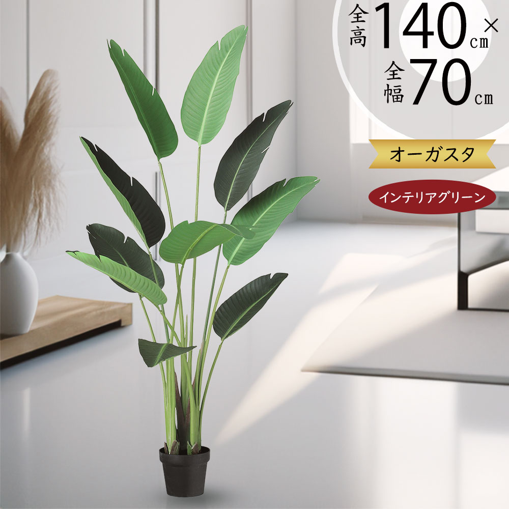 楽天市場】ストレリチア ストレチア フェイクグリーン 大型