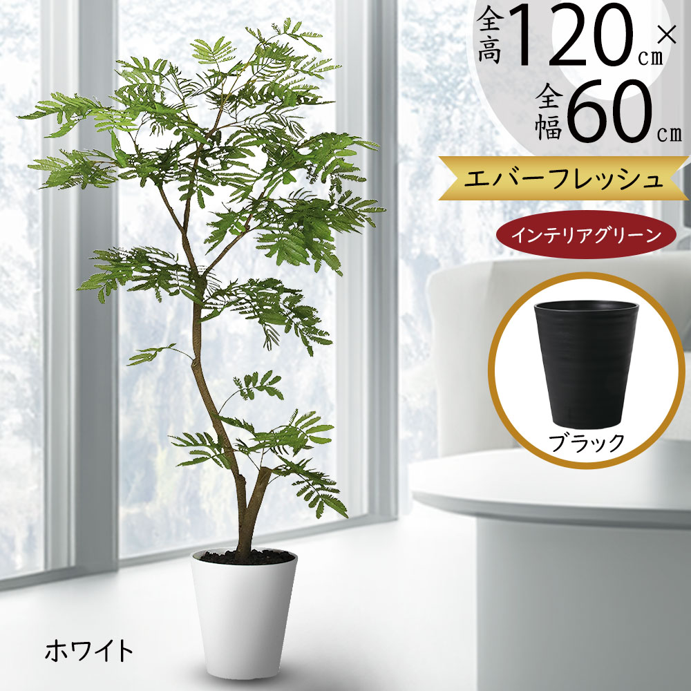 人工観葉植物 約160cm 位　ツイスト幹 人工観葉植物 約160cm 位 ツイスト幹 人工観葉・フェイクグリーン