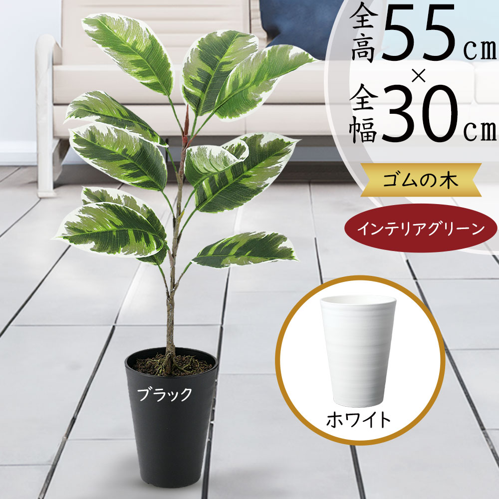 クーポン券