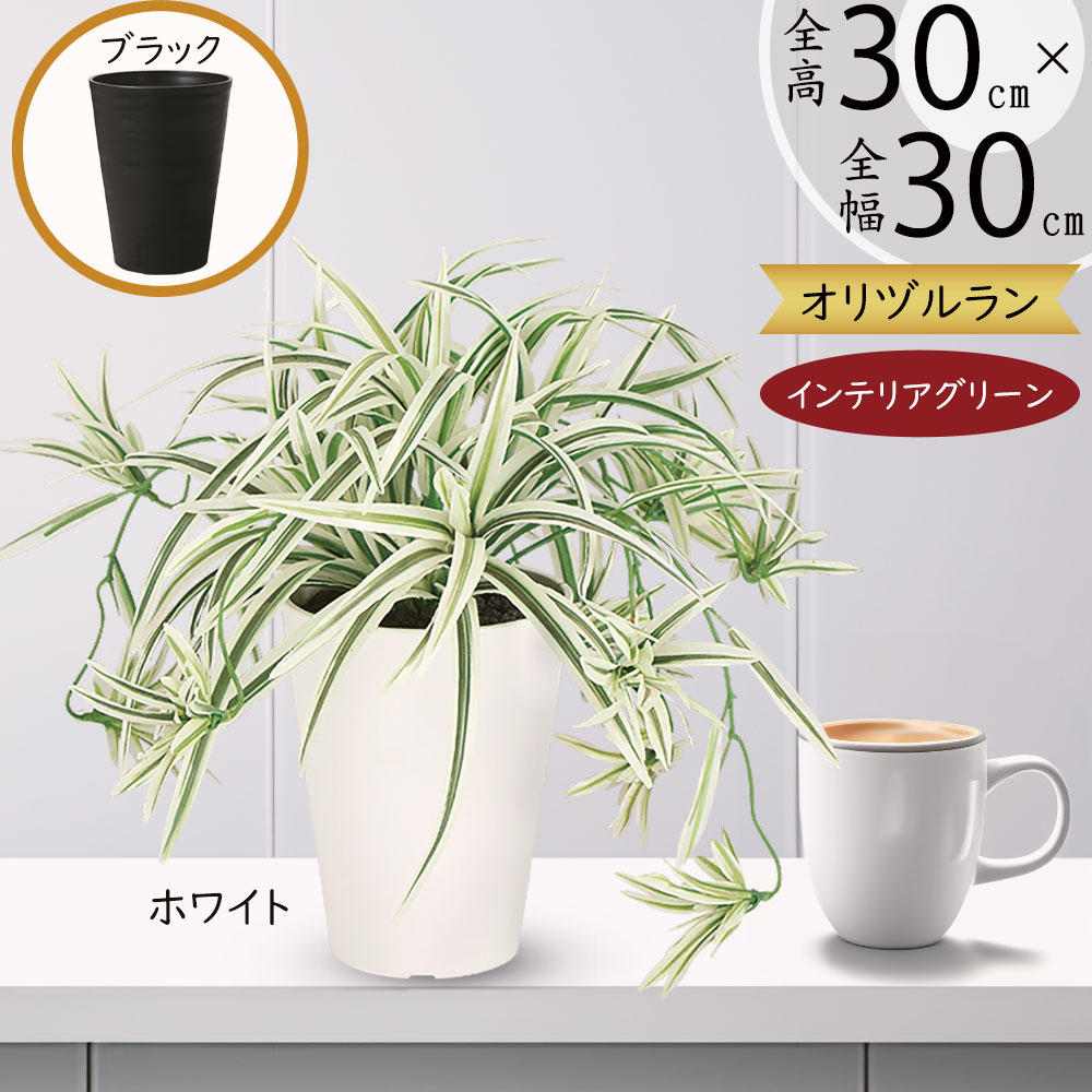 楽天市場】フェイクグリーン オリヅルラン おしゃれ 人気