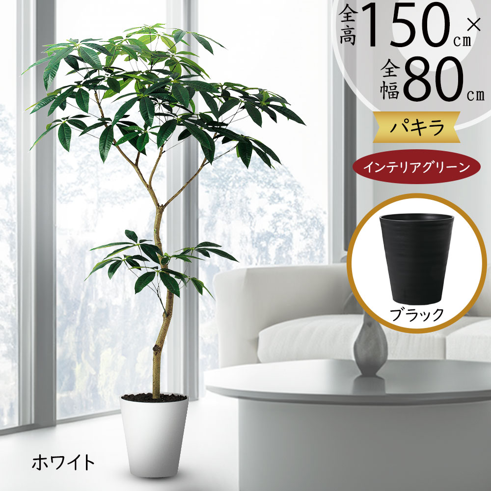 楽天市場】フェイクグリーン 観葉植物 パキラ ミルキーウェイ