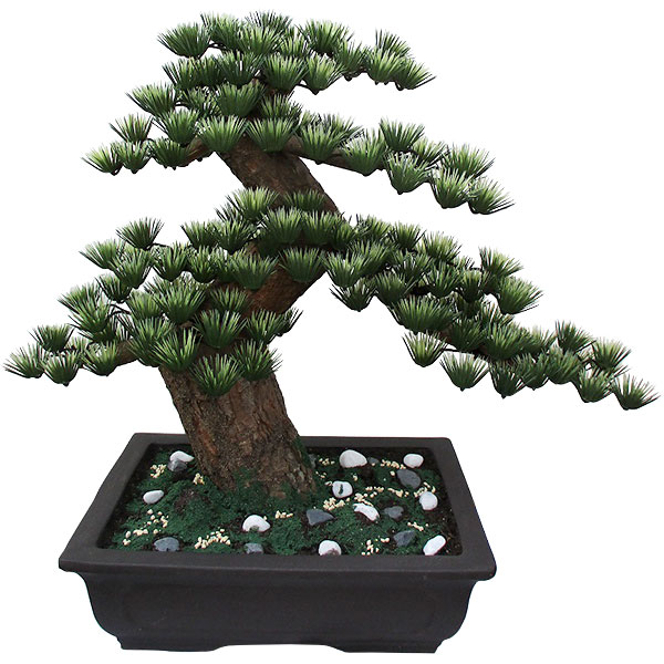 楽天市場 盆栽 12号 全高58cm 造花 フェイクグリーン 人工 観葉植物 植木 偽物 松盆栽 オブジェ 装飾 和風 式典 祭典 卒業式 イベント Bonsai Nb5 グリーンランド 楽天市場 盆栽 12号 全高58cm 造花 フェイクグリーン 人工 観葉植物 植木 偽物 松盆栽 オブジェ 装飾 和風 式典 祭典 卒業式 イベント Bonsai Nb5 グリーンランド