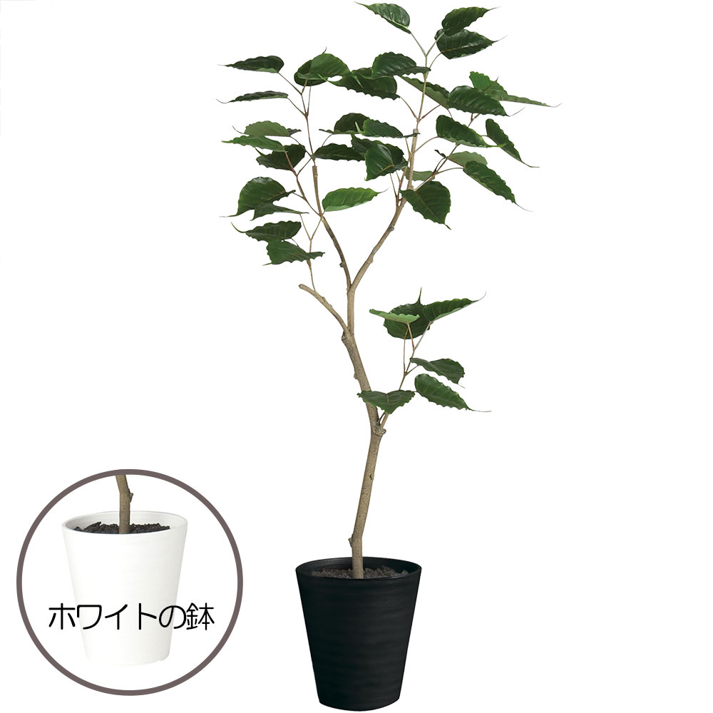 納得できる割引返品okのボダイジュ インテリアグリーン 造花 人工観葉植物 花 観葉植物 全高1 2m 菩提樹 造花 暮らしに寄り添うナチュラルグリーン ボダイジュの人工観葉植物 人工樹木 人工観葉植物 ボダイジュ フェイクグリーン 高価値セリー人気殺到 の