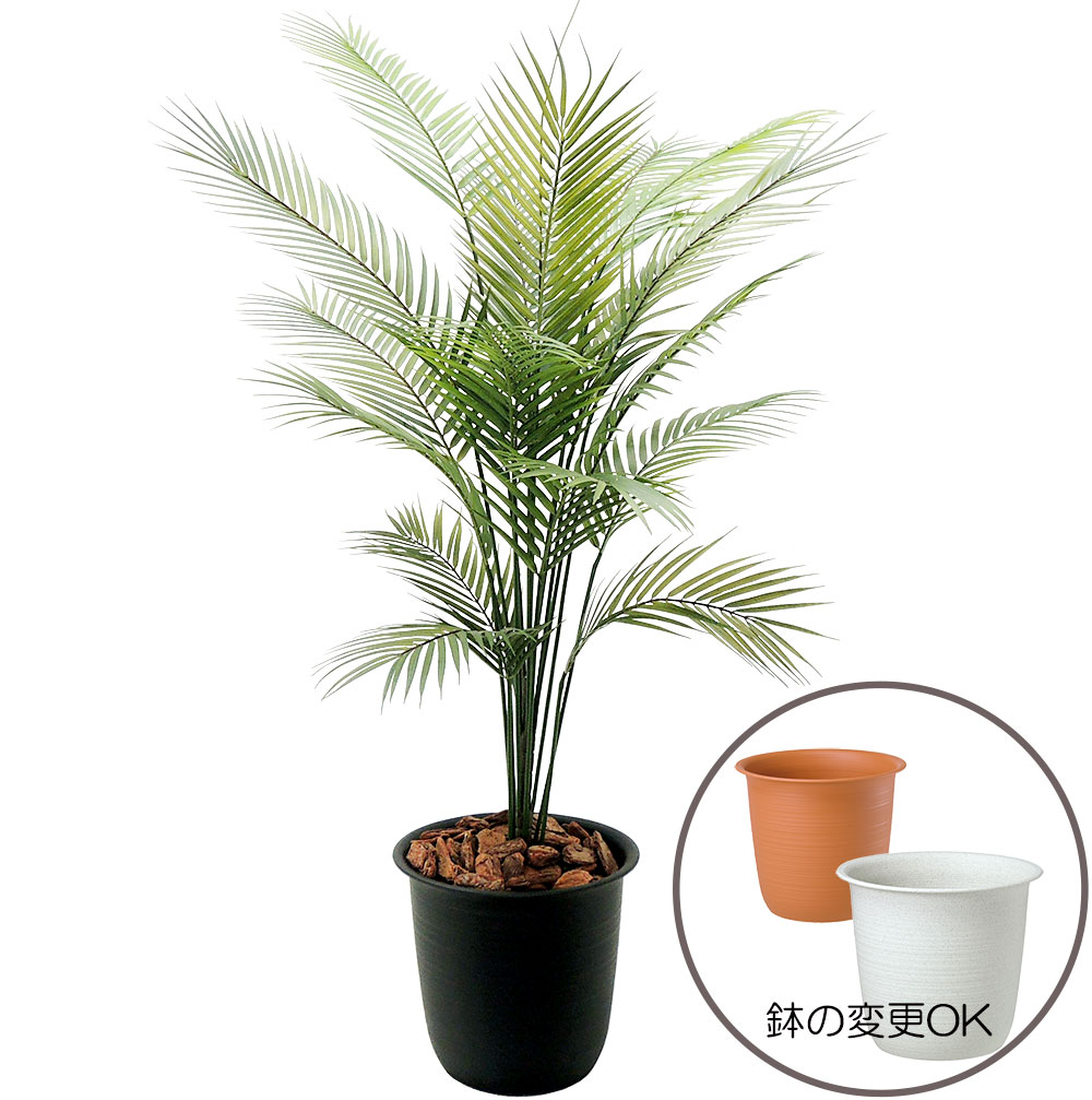 楽天市場 屋外対応 アレカヤシ 人工観葉植物 全高1 8m ヤシ類 アレカパーム ヤシの木 室内可 人工樹木 造花 インテリアグリーン フェイクグリーン グリーンランド