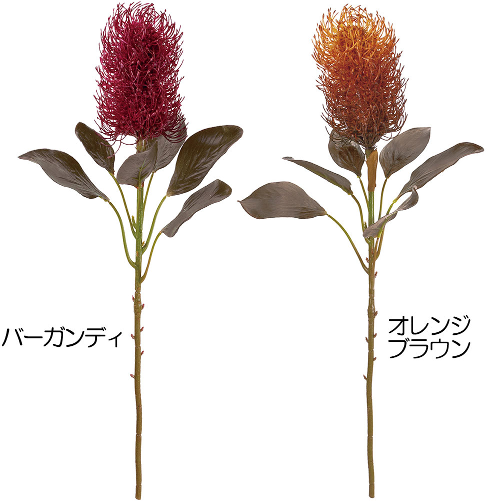 楽天市場 バンクシア 造花 全長58cm 3本セット ワイルドフラワー 野生植物 人工観葉植物 花材 フラワーアレンジメント ディスプレイ 装飾 グリーンランド