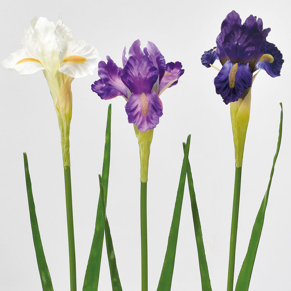 楽天市場 アイリス 全長70cm 3本セット 西洋菖蒲 造花 アーティフィシャルフラワー 人工観葉植物 グリーンランド 楽天市場 アイリス 全長70cm 3本セット 西洋菖蒲 造花 アーティフィシャルフラワー 人工観葉植物 グリーンランド