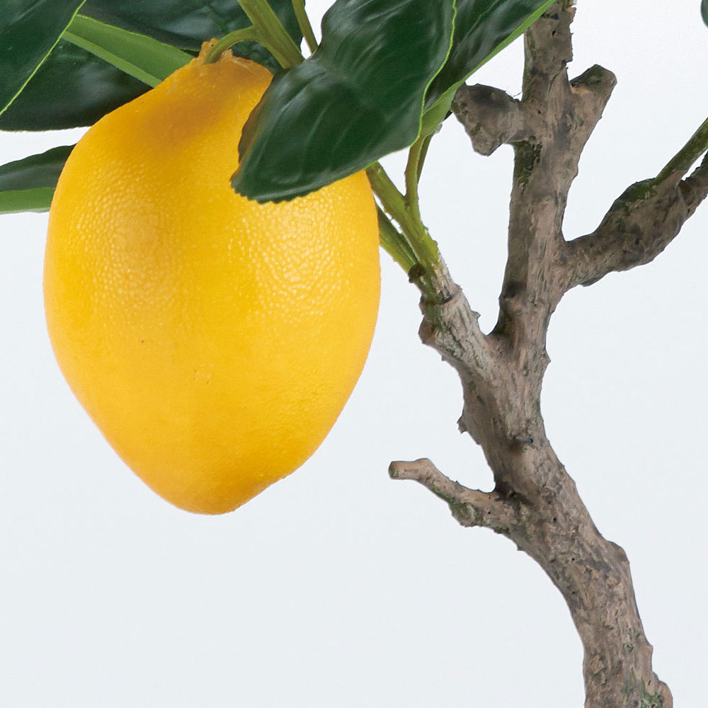 楽天市場 レモンの木 果実付き 全高40cm 人工観葉植物 フルーツ 檸檬 人工樹木 造花 フェイクグリーン インテリアグリーン 食品サンプル グリーンランド