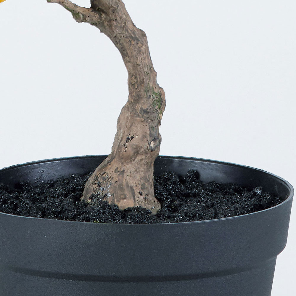 楽天市場 レモンの木 果実付き 全高40cm 人工観葉植物 フルーツ 檸檬 人工樹木 造花 フェイクグリーン インテリアグリーン 食品サンプル グリーンランド