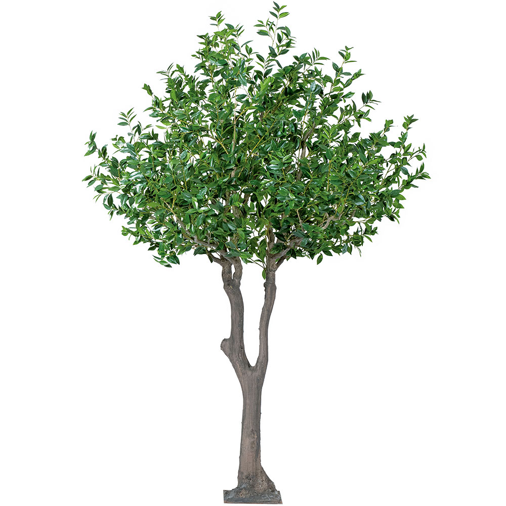 ローレル 特大 特大 全高3 0m 人工観葉植物 大型 人工観葉植物 人工樹木 造花 人工樹木 インテリアグリーン フェイクグリーン オブジェ グリーンランド濃緑の葉が心地いい空間を演出 ローレルの人工観葉植物