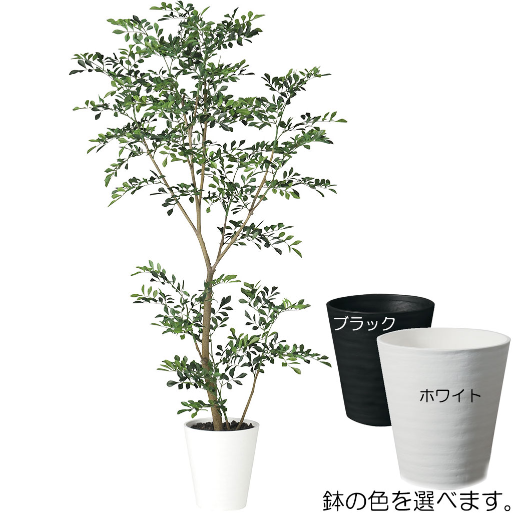 フェイクグリーン トネリコ 全高1.5m 人工樹木 シマトネリコ 人工観葉