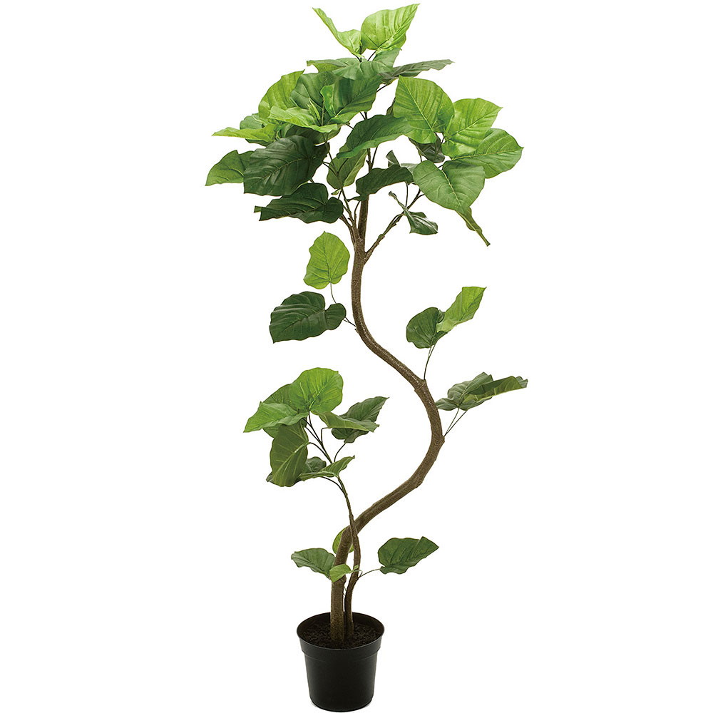 ウンベラータ 人工観葉植物 全高1 5m 人工樹木 造花 フェイクグリーン インテリアグリーン お見舞い