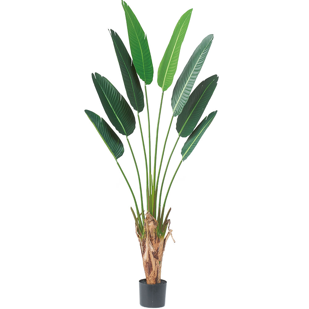 即日発送 オーガスタ ストレリチア 全高1 8m 人工観葉植物 インテリアグリーン トラベルパーム トラベラーズパーム 人工樹木 造花 花 観葉植物