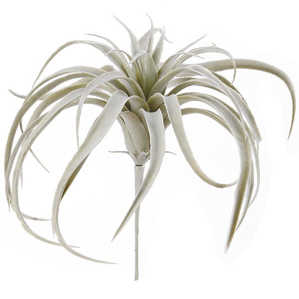 市場 人工観葉植物 ティランジア ティランドシア エアープランツ 全長29cm