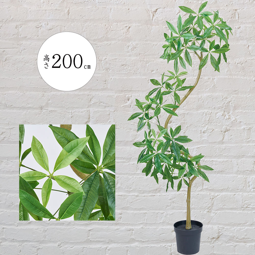 楽天市場】パキラ フェイクグリーン 大型 観葉植物 人気 おしゃれ