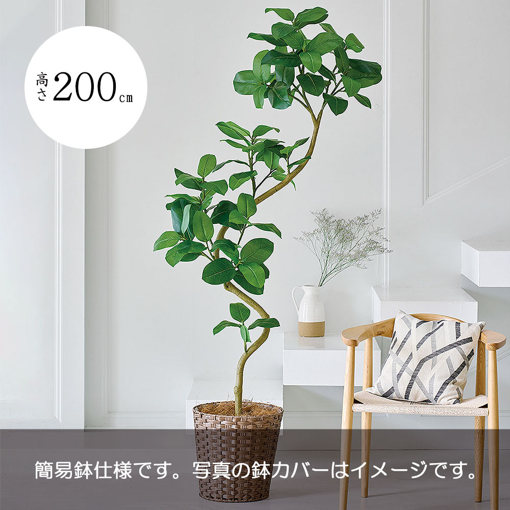 アルテシマ おしゃれ 大型 人気 フェイクグリーン リアル インテリアグリーン アートプランツ 人工観葉植物 観葉植物 人工樹木 造花 アートグリーン インテリア オブジェ フィカス アルティッシマ リビング ギフト 新築祝い 引っ越し祝い 開店祝い 特大 大きい 全高200cm｜グリーンランド