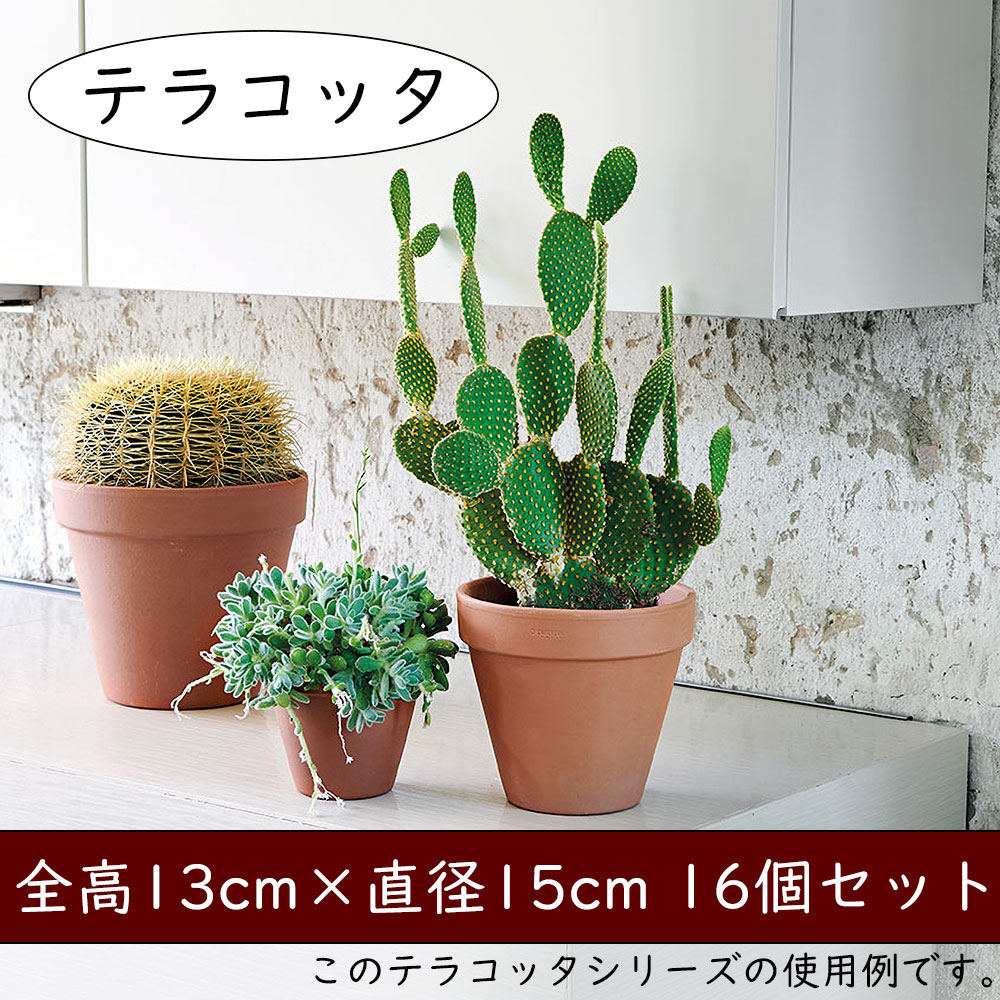 テラコッタ 植木鉢 おしゃれ 人気 プランター おすすめ 観葉植物 素焼き 園芸鉢 観葉鉢 陶器鉢 器 ポット ガーデニング 園芸用品 寄せ植え 花壇 緑 インテリア お庭 テラス バルコニー 屋上 鉢カバー お洒落 イタリア製 赤土 トスカーナ スタンダードポット 5号 16個セット